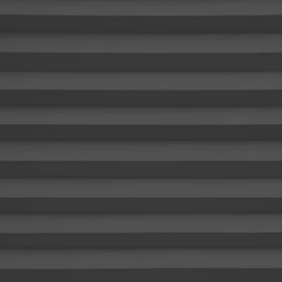 Plíseruðu Gardínur Lexington Onyx